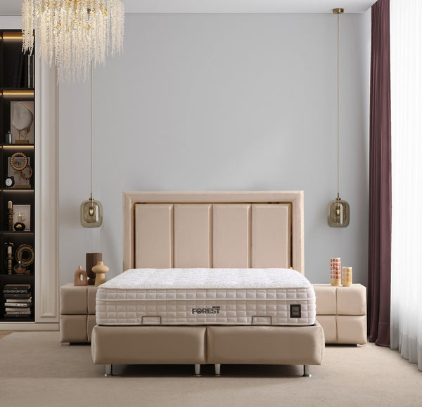 Pergamon Base Headboard Set with modern design and spacious storage base